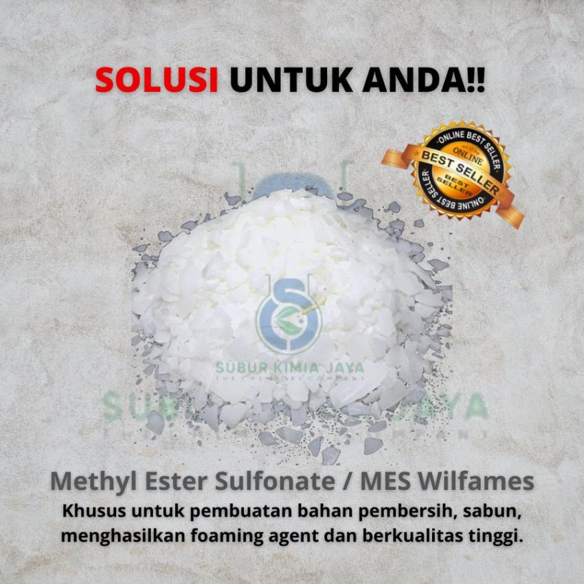 MES ex Wilmar 1 Kg / Texapon Nabati / Surfactant Nabati / SLS Nabati / MES FLAKES / Methyl Ester Sulfonate / Metil Ester Sulfonat / Bahan Detergen