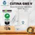 GMS (Glycerol Monostearate) - CUTINA GMS V 1 KG