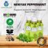 Peppermint Essential Oil ( Minyak Mint ) 100 ML
